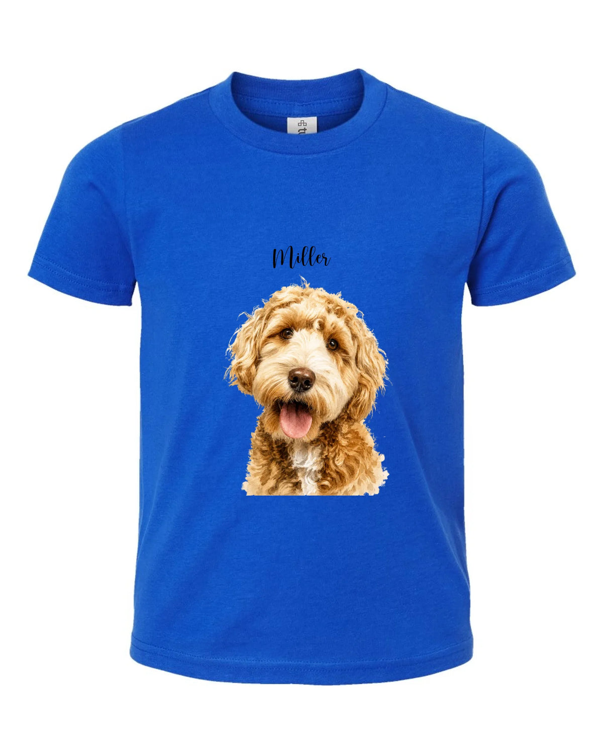 Tultex_235_Royal_Front_High