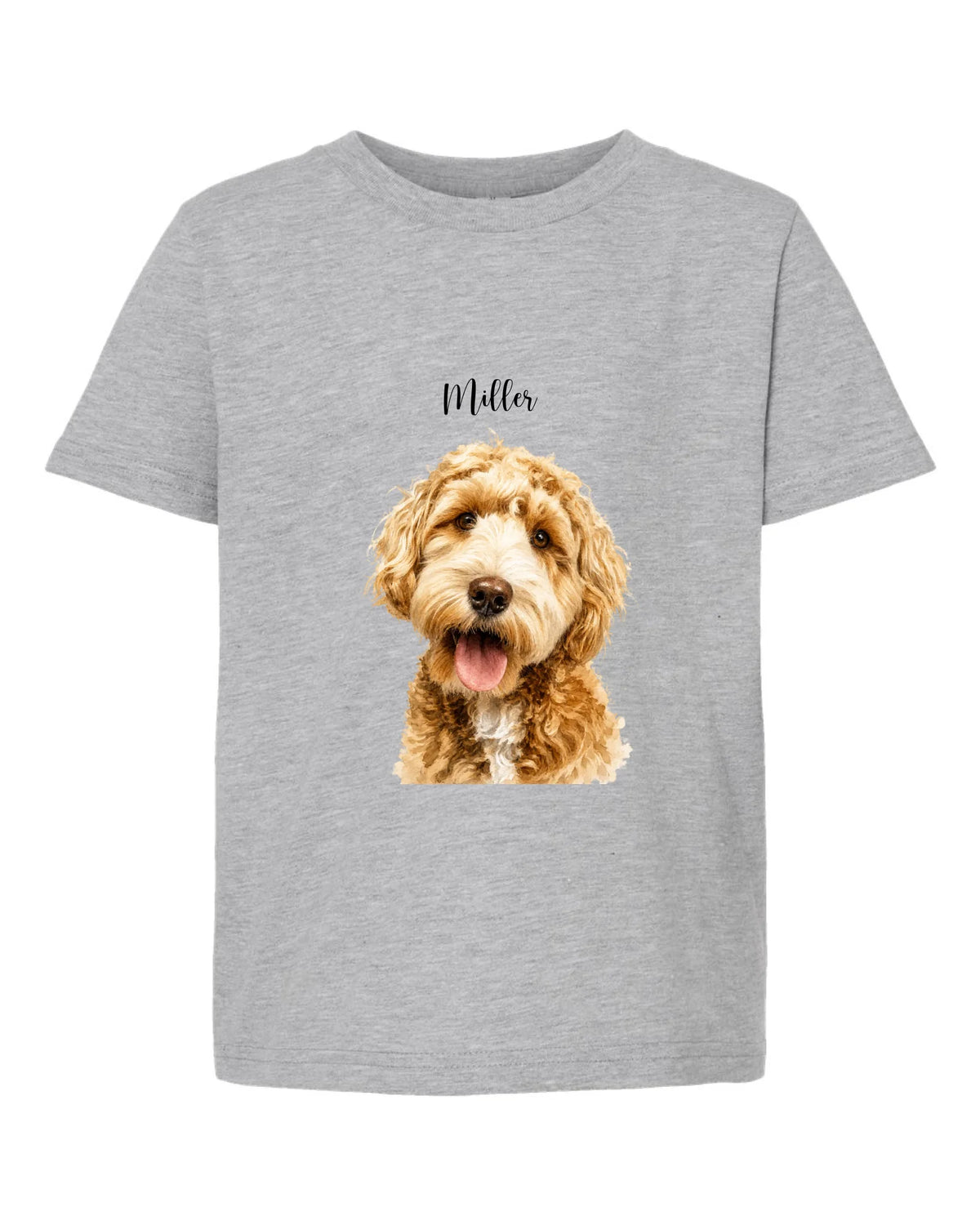 Tultex_235_Heather_Grey_Front_High